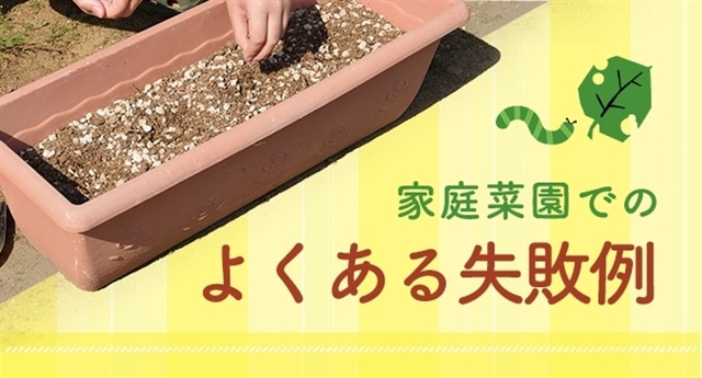 家庭菜園でのよくある失敗例 | 朝日アグリア株式会社