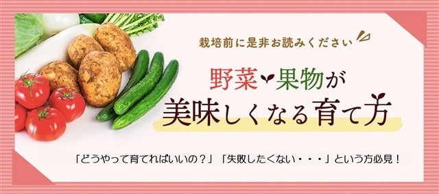 栽培前に是非お読みください！野菜・果物が美味しくなる育て方